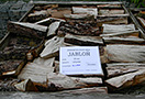Palivové dřevo rovnané, jabloň, délka 25 cm, 1,0 prmr - foto 2