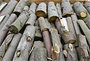 Palivové dřevo rovnané, lípa, délka 33 cm, 1,3 prmr - foto 2
