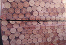 Palivové dřevo EXCLUSIVE, buk, délka 35 cm, 0,75 prmr - foto 2