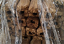 Dřevěné brikety PINI KAY, 840 kg - foto 5