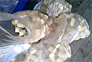 Dřevěné brikety válcové - PUK, balené, 500 kg - foto 3
