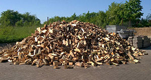 Štípané palivové dřevo, dubové, délka 25 cm, 20 prms