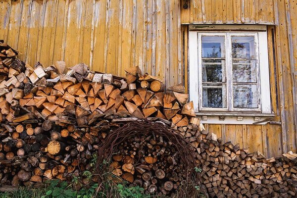 Titulní obrázek článku: Sušíme a skladujeme dřevo na topení