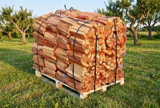 Suché palivové dřevo, akát, délka do 28 cm, 400 kg