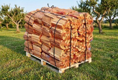 Suché palivové dřevo, akát, délka do 28 cm, 400 kg - obrázek