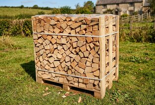 Palivové dřevo rovnané, buk, délka 50 cm, 1 prmr