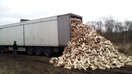 Palivové dřevo sypané, jehličnaté, délka 33 cm, 80 prms (kamion) - foto 5