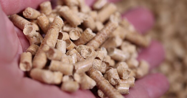 Titulní obrázek článku: Proč mají dřevěné pelety 6 mm